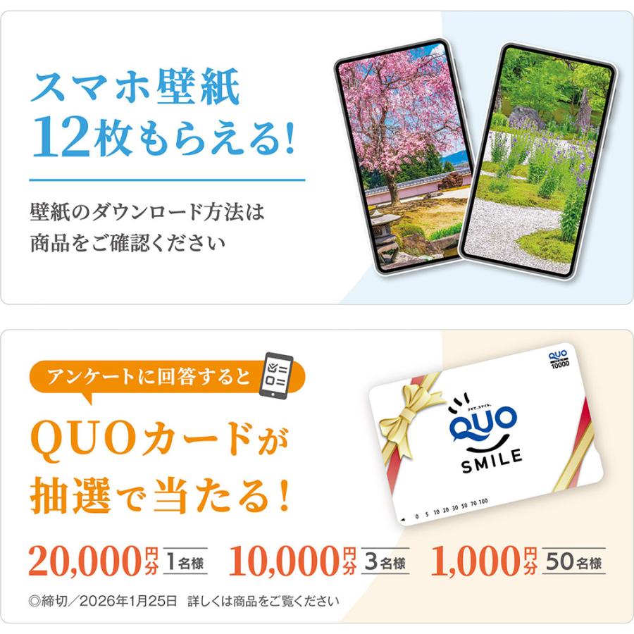 写真工房カレンダー | やすらぎの庭 2026 カレンダー 壁掛け 風景 【透明ホルダー付 300×420】スマホ壁紙12枚付 YA-17 | 写真工房 | 05