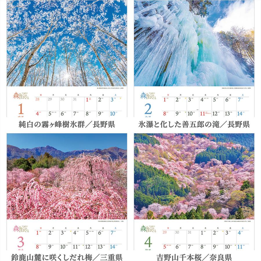 写真工房 写真工房カレンダー | 森は生きている 2026 カレンダー