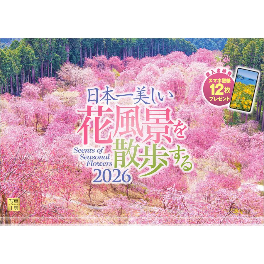 写真工房カレンダー | 日本一美しい花風景を散歩する 2026 カレンダー 壁掛け 風景 【透明ホルダー付 300×420】スマホ壁紙12枚付 YA-21 | 写真工房