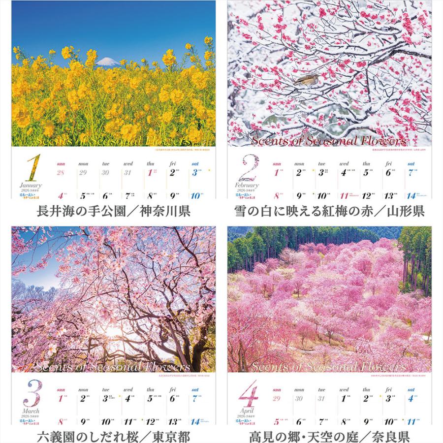 写真工房カレンダー | 日本一美しい花風景を散歩する 2026 カレンダー 壁掛け 風景 【透明ホルダー付 300×420】スマホ壁紙12枚付 YA-21 | 写真工房 | 01