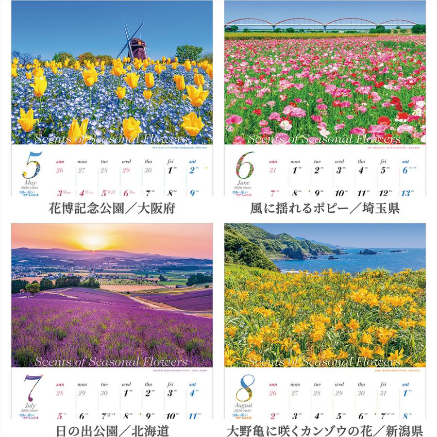写真工房カレンダー | 日本一美しい花風景を散歩する 2026 カレンダー 壁掛け 風景 【透明ホルダー付 300×420】スマホ壁紙12枚付 YA-21 | 写真工房 | 02