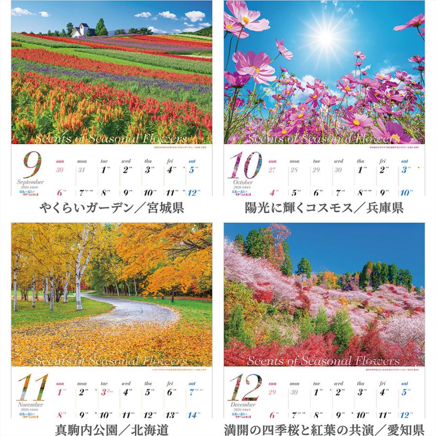写真工房カレンダー | 日本一美しい花風景を散歩する 2026 カレンダー 壁掛け 風景 【透明ホルダー付 300×420】スマホ壁紙12枚付 YA-21 | 写真工房 | 03