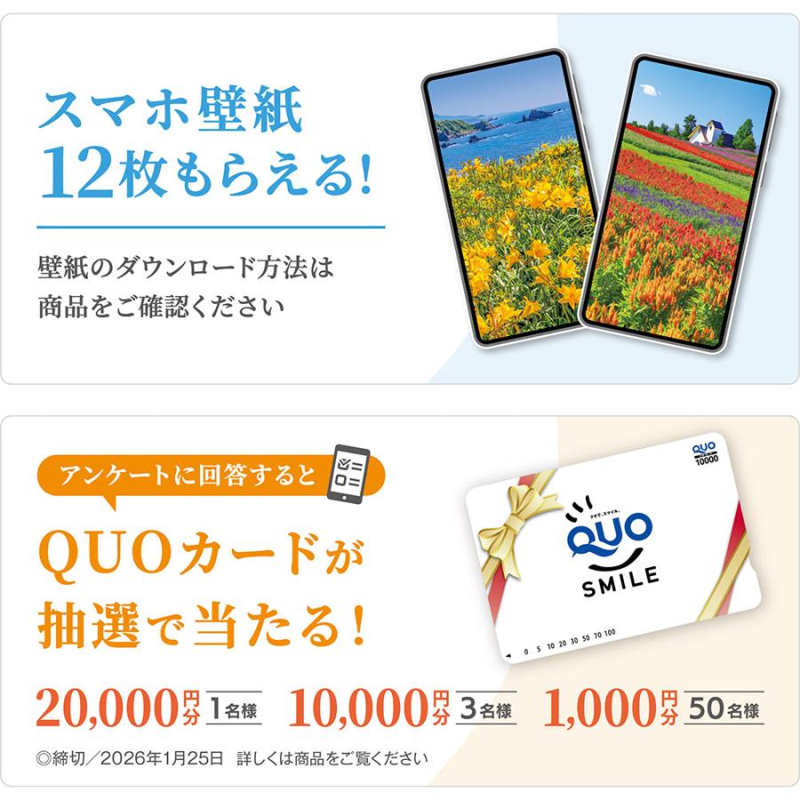 写真工房カレンダー | 日本一美しい花風景を散歩する 2026 カレンダー 壁掛け 風景 【透明ホルダー付 300×420】スマホ壁紙12枚付 YA-21 | 写真工房 | 05
