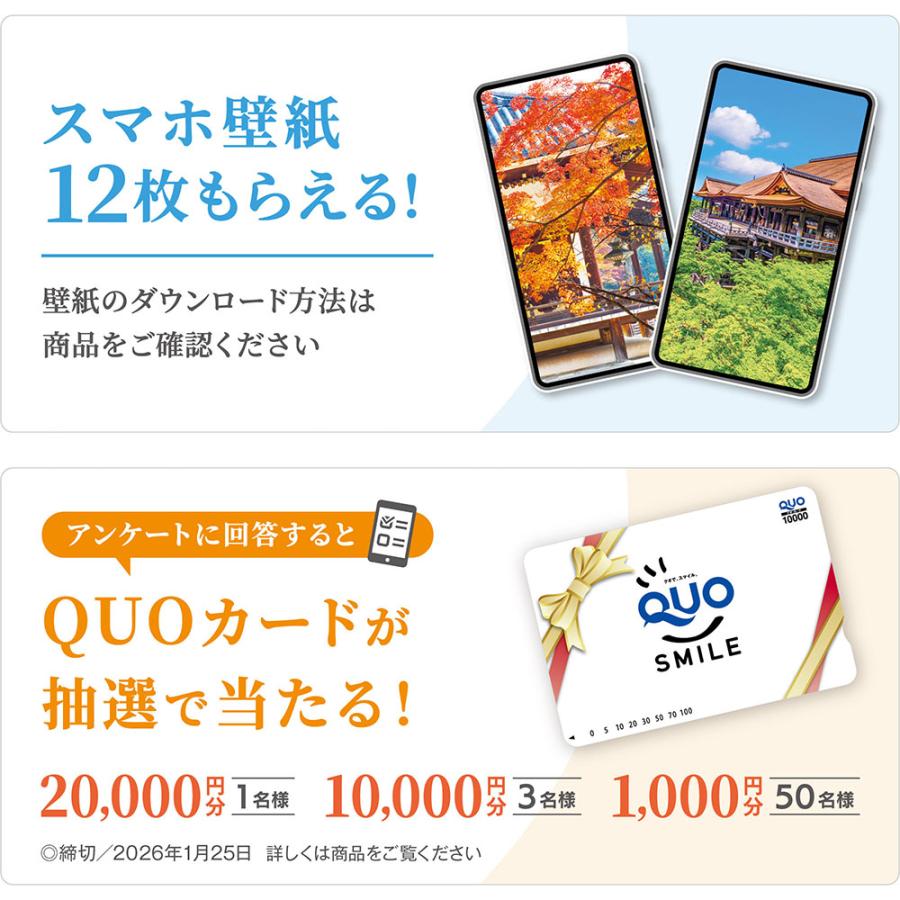 quarant'otto 2026 壁掛けカレンダー&卓上カレンダー＆ホルダー