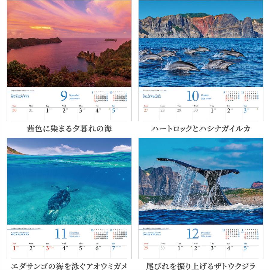 これからの季節にぴったり　海の風景 シルバーのフレーム これからの季節にぴったり 海の風景 シルバーのフレーム