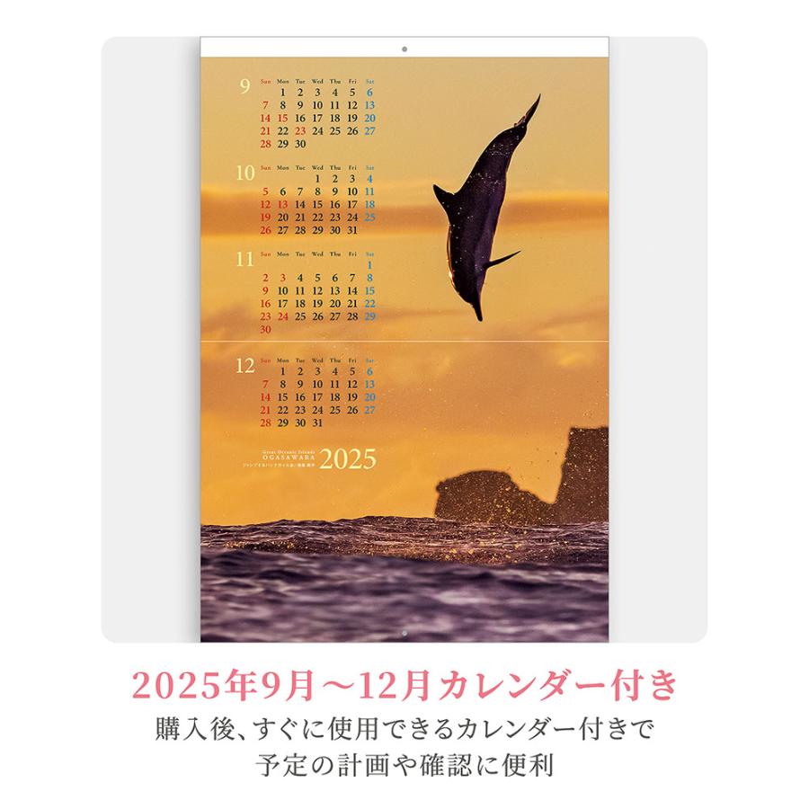 写真工房カレンダー | 小笠原諸島 2026 カレンダー 壁掛け 風景 【紙ホルダー付 300×400】スマホ壁紙12枚付 YC-03 | 写真工房 | 07