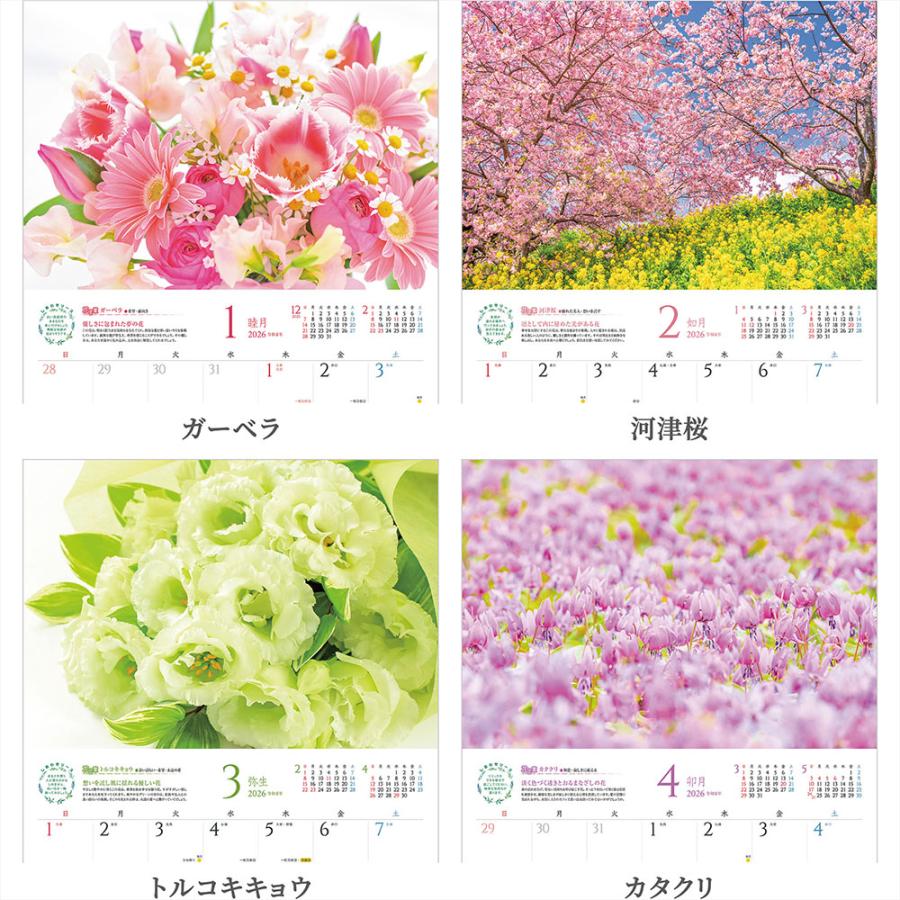写真工房 写真工房カレンダー | しあわせの花風水 2026 カレンダー