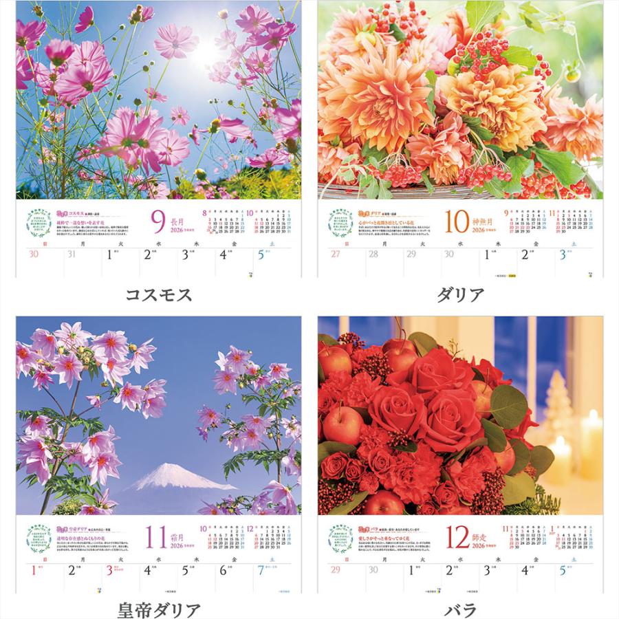 写真工房 写真工房カレンダー | しあわせの花風水 2026 カレンダー