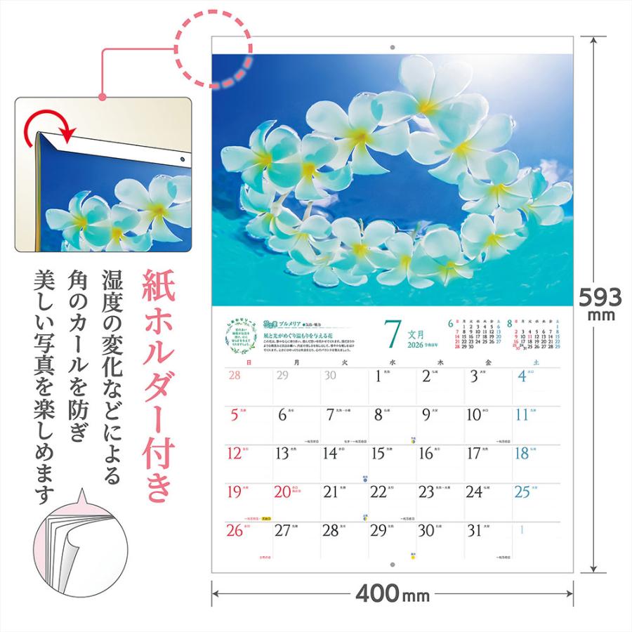 写真工房 写真工房カレンダー | しあわせの花風水 2026 カレンダー
