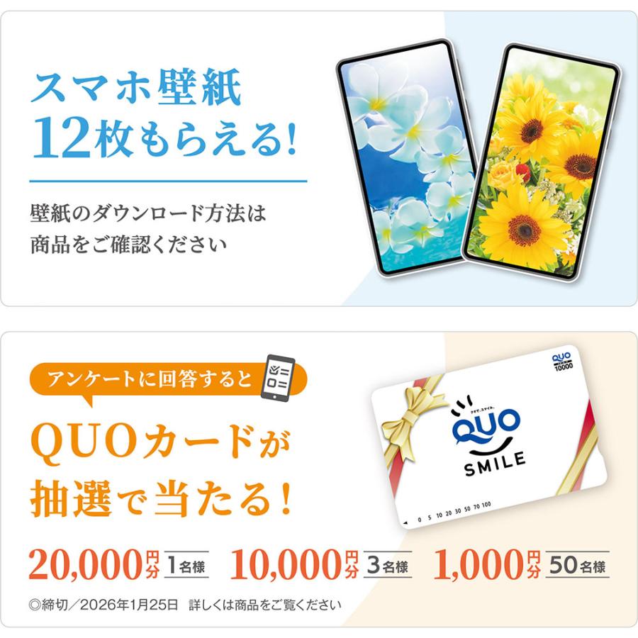 写真工房 写真工房カレンダー | しあわせの花風水 2026 カレンダー