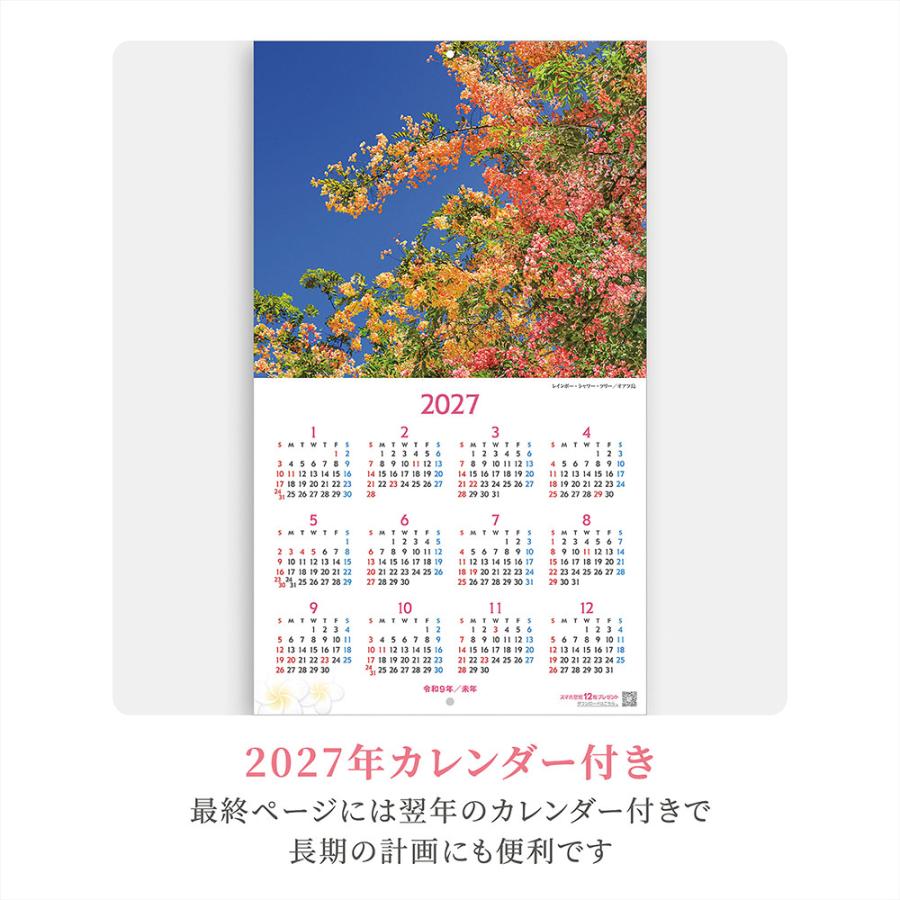 写真工房 写真工房カレンダー | ハワイ Aloha Story 2026 カレンダー