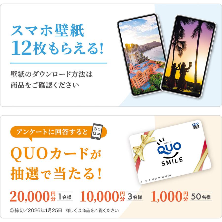 写真工房カレンダー | ハワイ Aloha Story 2026 カレンダー 卓上 風景 【両面仕様 144×182】スマホ壁紙12枚付 YE-03 | 写真工房 | 04