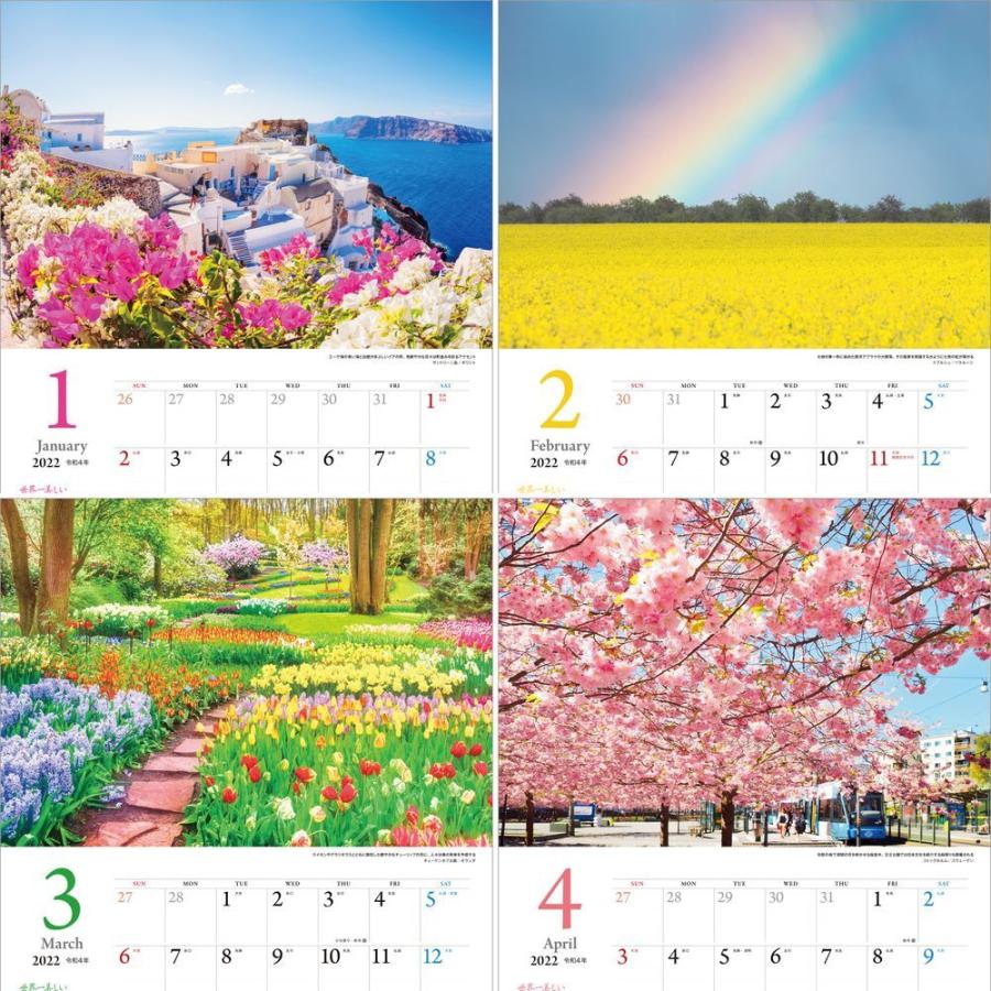 カレンダー21 壁掛け 世界一美しい花風景を散歩する 写真 風景 絶景 綺麗 お洒落 ギフト スケジュール Scl Sekaiichi Hana 風景カレンダーの写真工房ストア 通販 Yahoo ショッピング