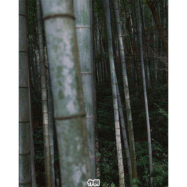 シグマ 35mm F1.4 DG II | Art ソニーEマウント用 【送料無料】_6