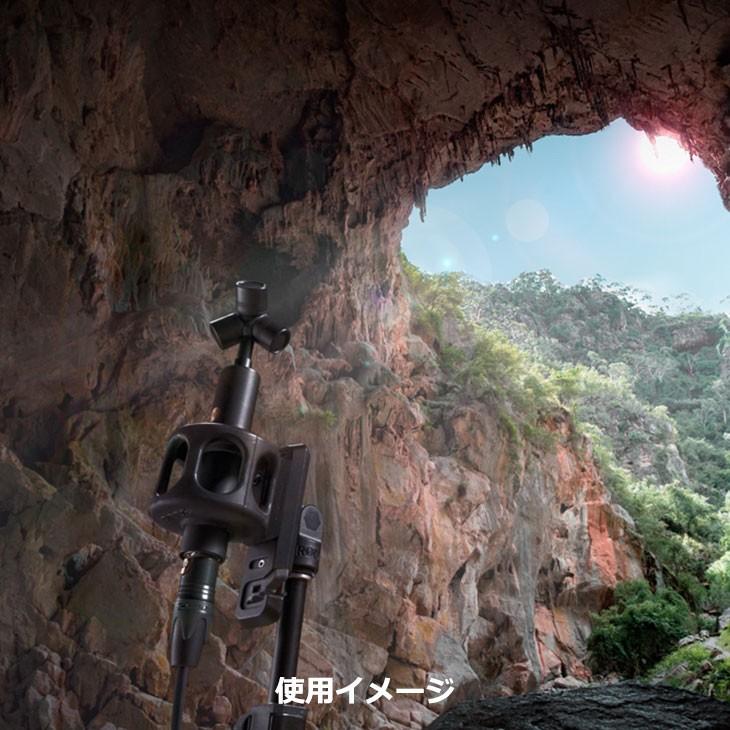 RODE NTSF1 アンビソニックマイク NT-SF1 【送料無料】 : 写真屋さん
