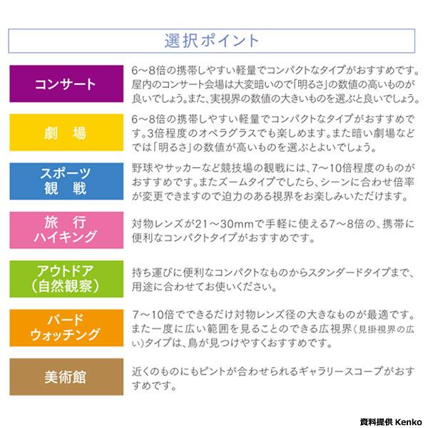 カールツァイス 双眼鏡 ZEISS SFL 10×30 【送料無料】の画像