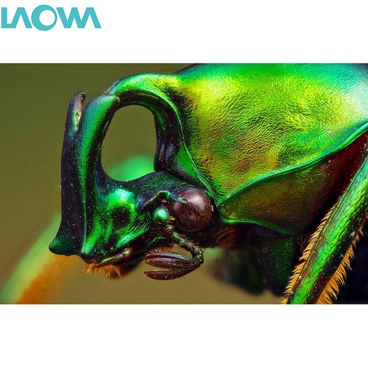 LAOWA（ラオワ） LAOWA 25mm F2.8 2.5-5X ULTRA MACRO ニコン Z