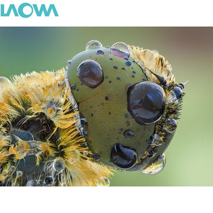 LAOWA（ラオワ） LAOWA 25mm F2.8 2.5-5X ULTRA MACRO ニコン Z