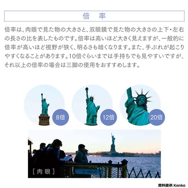 カールツァイス 双眼鏡 ZEISS Terra ED 8x42 グレー 【送料無料】_3