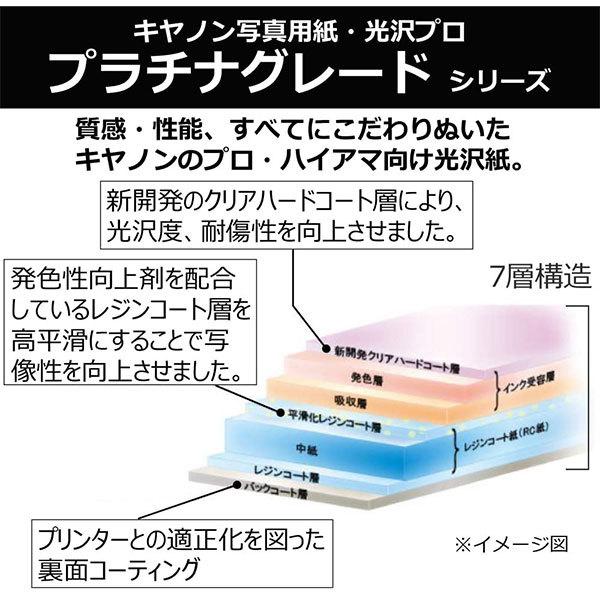 キヤノン写真用紙 [プラチナグレード] 半切 他セット【残数】 キヤノン（Canon） PT-201YG20 写真用紙・光沢 プロ プラチナグレード