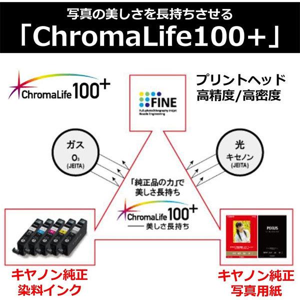 キヤノン PT-201YG20 写真用紙・光沢 プロ プラチナグレード 四切 20枚 8666B008 【送料無料】｜shasinyasan｜03