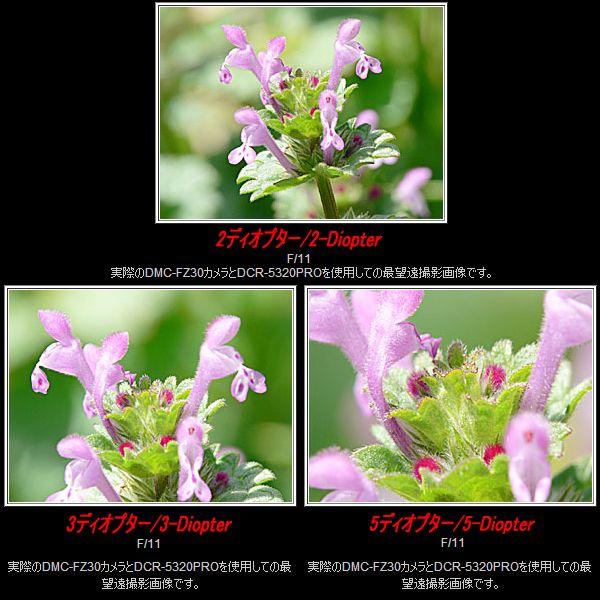 レイノックス DCR-5320PRO 高品位マクロ（接写）コンバージョンレンズ  