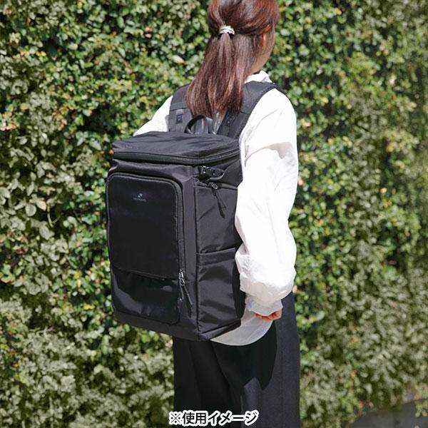 ハクバ SGWSB-BP18BK GW-STANDARD ブロス バックパック18 ブラック 【送料無料】【即納】の画像