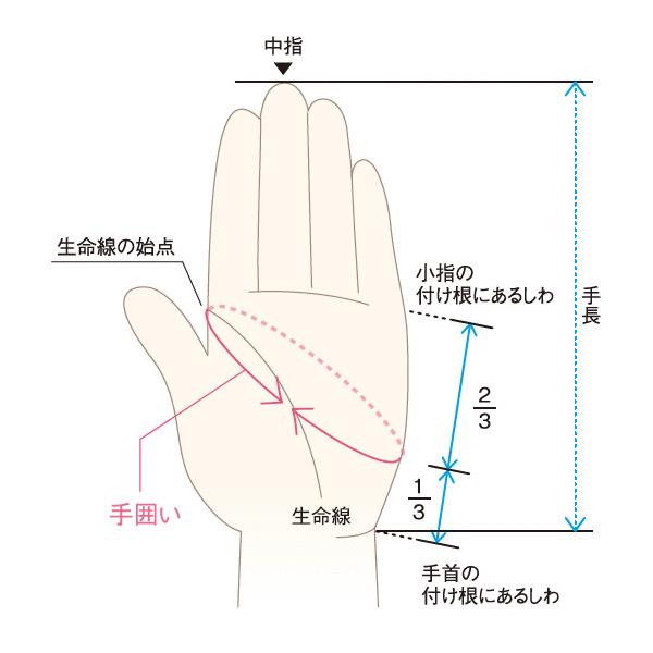 【メール便 送料無料】 ハクバ KTR-GVM トレシーグローブ M ブルー｜shasinyasan｜02