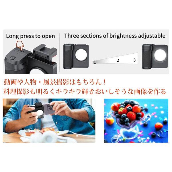 LPL L26737 ユニバーサルスマホライトUS-36M iPhone用LEDライト 【送料無料】_3