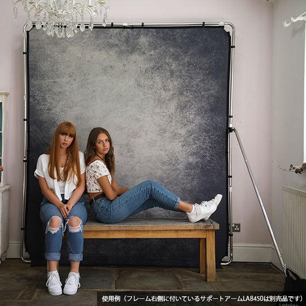 ラストライト Lastolite LL LB7928 EzyFrame 背景 2x2.3m スモーク 