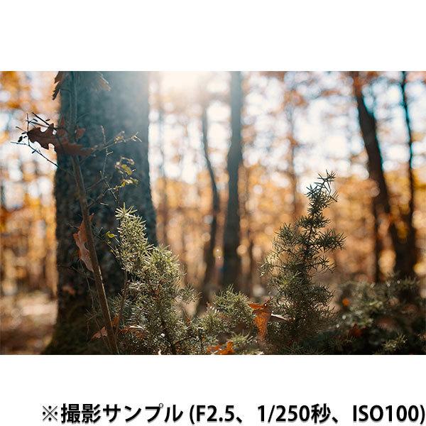 ケンコー・トキナー Kenko SAMYANG XP 35mm F1.2 Canon EF用 【送料無料】｜shasinyasan｜08