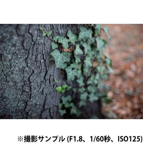 ケンコー・トキナー Kenko SAMYANG XP 35mm F1.2 Canon EF用 【送料無料】｜shasinyasan｜10