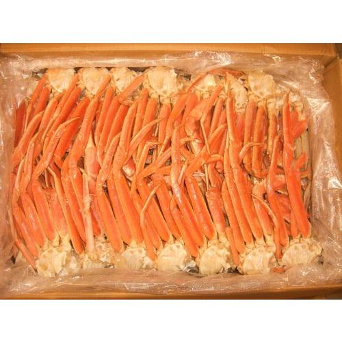 訳あり格安バイキング規格 ボイル本ズワイカニ２l ４l混合 10kg 10kg 魚介類 海産物 A B004gk1by4 Shaun The 食品 Sheep