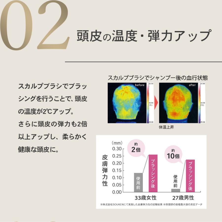 ＼5のつく日限定ポイント10倍／S・HEART・S エス・ハート・エス スカルプブラシ ワールドプレミアムロング シャンプーブラシ ヘアブラシ｜shearts｜15