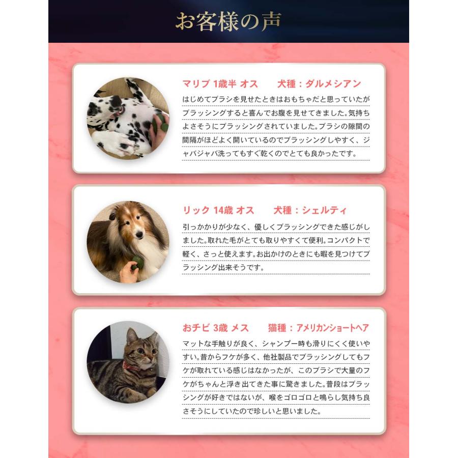 エスハートエス 公式 ペットブラシ 抜け毛対策  犬 猫 痛くない 抜け毛取り パルムアニモ お手入れ 長毛 短毛 グルーミング |  | 12