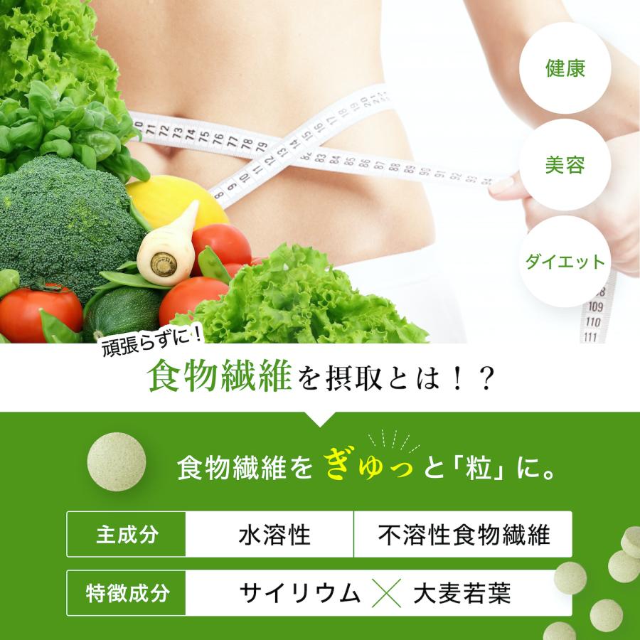 賞味期限 2026.07 食物繊維 サプリ 錠剤 1.67g (12粒) 250mg 360粒