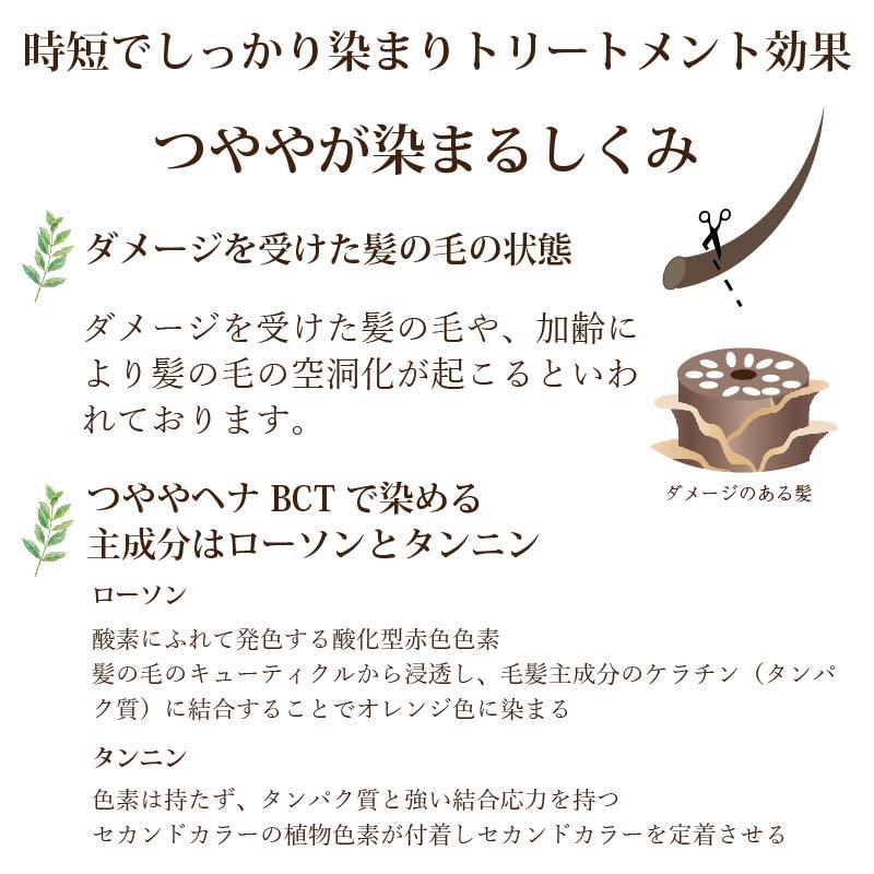 ヘナ 白髪染め ホームキット (50g＋50g) No.1シナモンブラウン