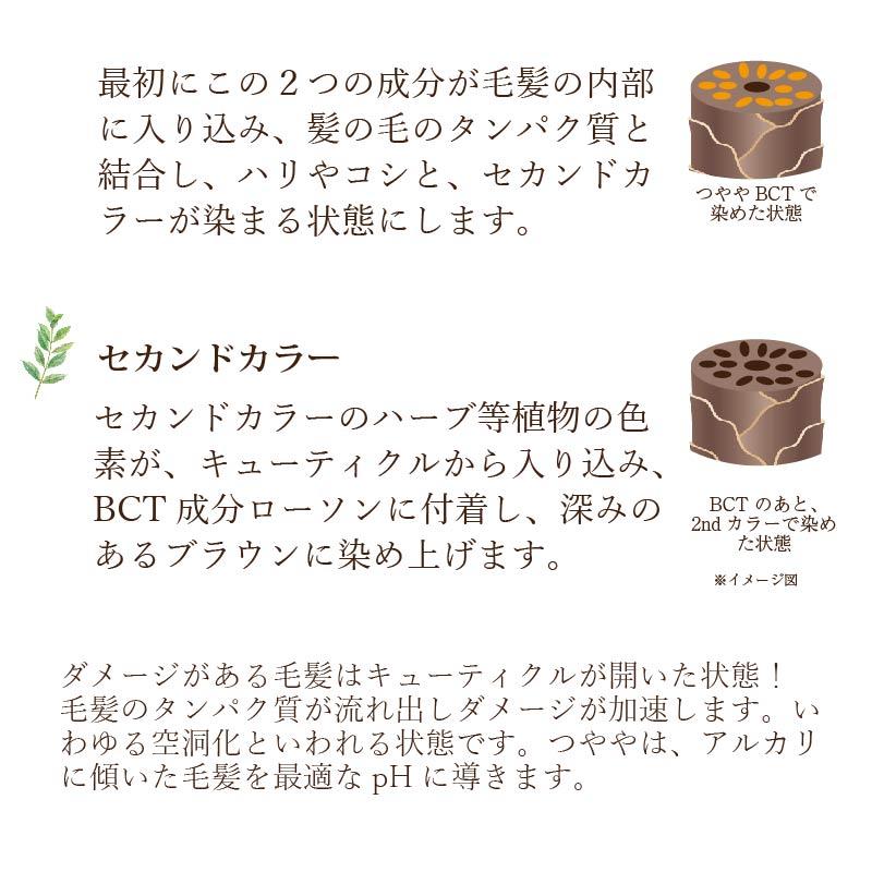 yuki　正規品　ヘナ5個 ナイアード ヘナ 100％ ( 400g(100g*4袋入) ) 洗髪剤 カラー剤