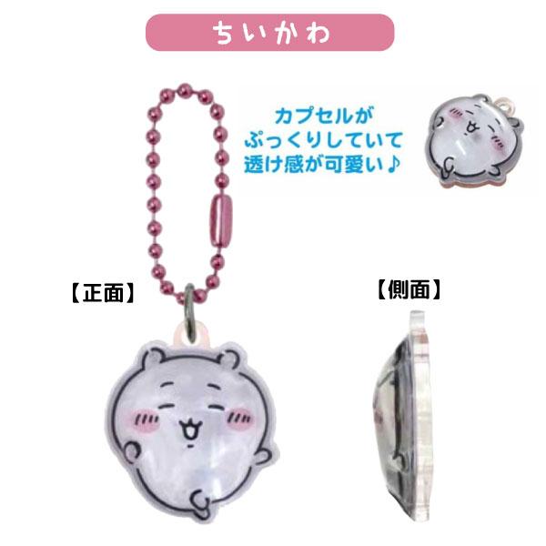 Kcompany（ケイカンパニー） ちいかわ ぷっくりったい プチボール