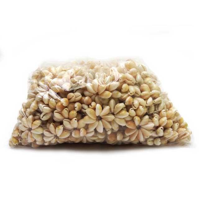 【バルク】 ナチュラルシェルリングレット　１袋 | 