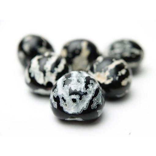 タイガー ククイナッツ（６ケ入り） | 