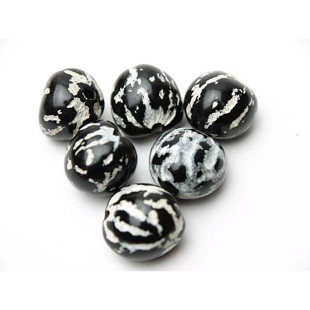 タイガー ククイナッツ（６ケ入り） |  | 01