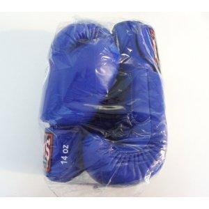 新TWINS ツインズ 本革製キックボクシング グローブ 青 14オンス 14oz