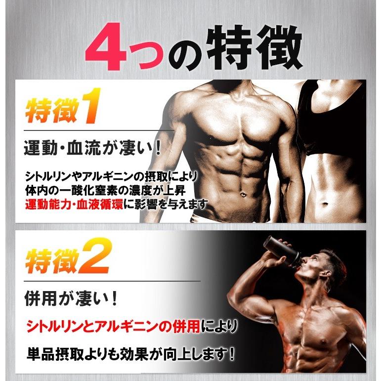 アルギニン SAVE アルギニンパウダー 500g 人口甘味料・香料 無添加 300円引きクーポン配布 代引不可|sheepwingten|02