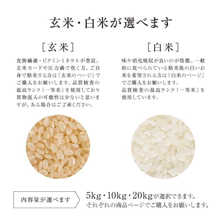 SAVE 食の極 北海道産 白米 ななつぼし プレミアム一等米「極」 20kg