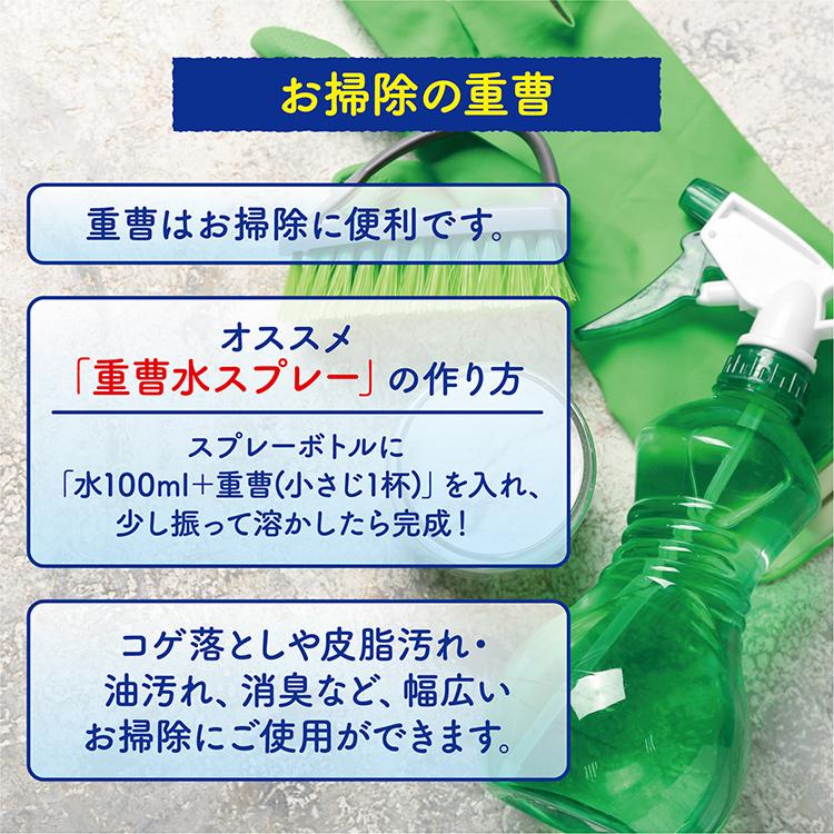 重曹 ( 950g ) SAVE 高純度99.8%以上 パウダー 粉末 無添加 食用 清掃