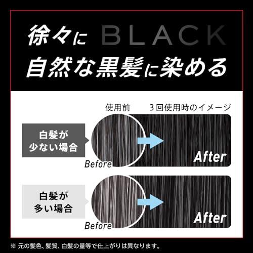 サクセス サクセスブラック ふんわり仕上がるカラー