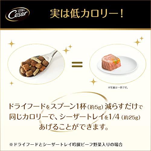 シーザー ドッグフード 14歳からの 吟選ビーフ 野菜・玄米入り シニア犬用 100g×96個 (ケース販売) 100g×96個