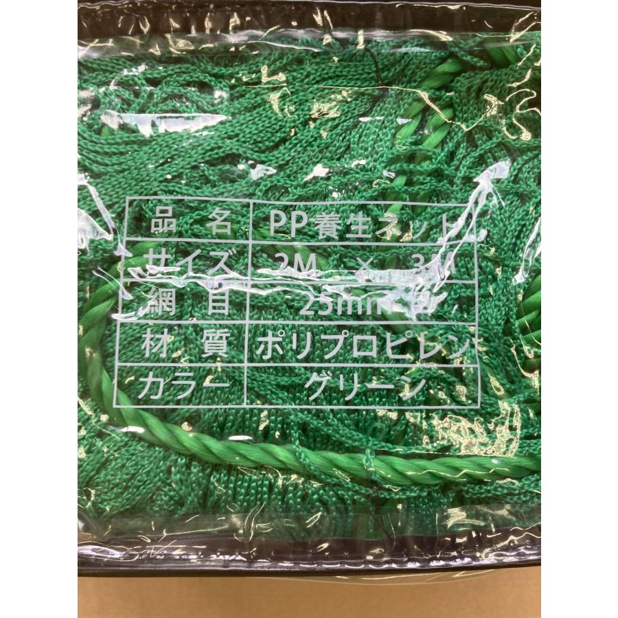 養生グリーンネット 2M×3M 25mm目 多目的に使える養生ネット | ブランド登録なし | 02