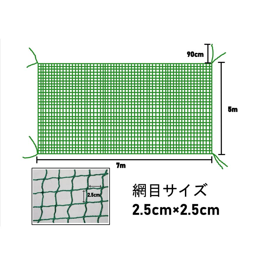 養生グリーンネット 5M×7M 25mm目 多目的に使える養生ネット |  | 03